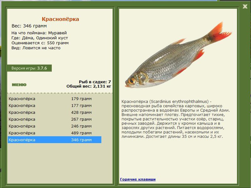 РУССКАЯ РЫБАЛКА Installsoft Edition 