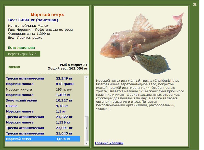 турниры • РУССКАЯ РЫБАЛКА
