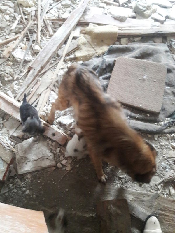 всеми брошенной с детьми в пустом районе • Фин. отчеты