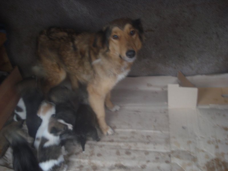 всеми брошенной с детьми в пустом районе • Фин. отчеты