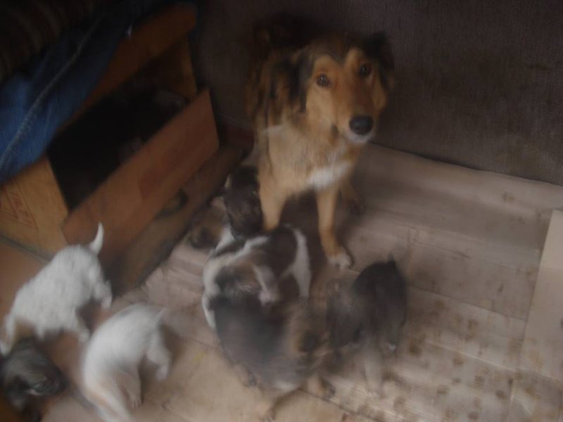 всеми брошенной с детьми в пустом районе • Фин. отчеты