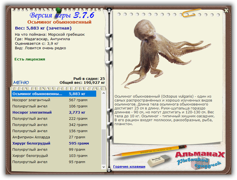 Мадагаскар 