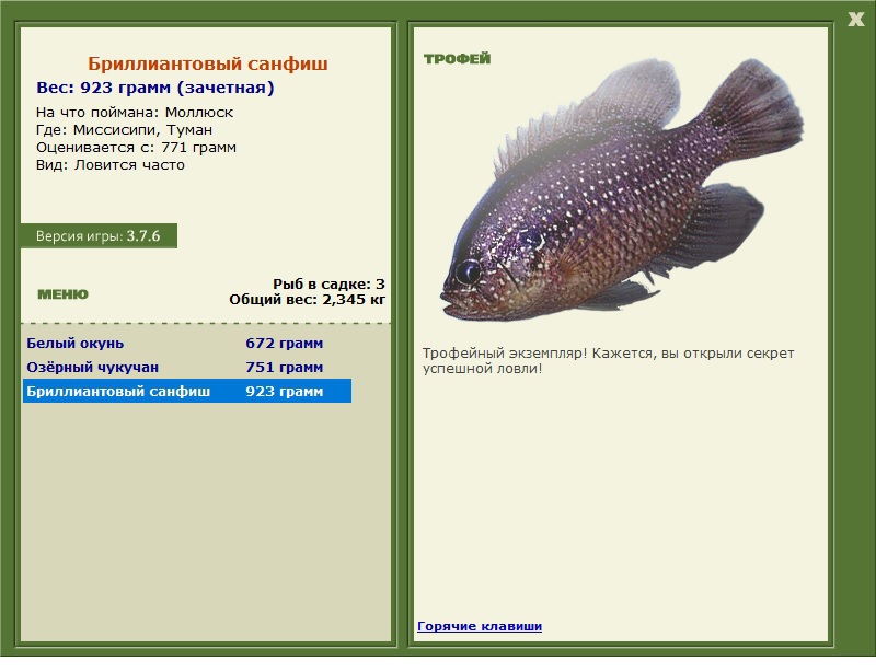 Бриллиантовый санфиш 