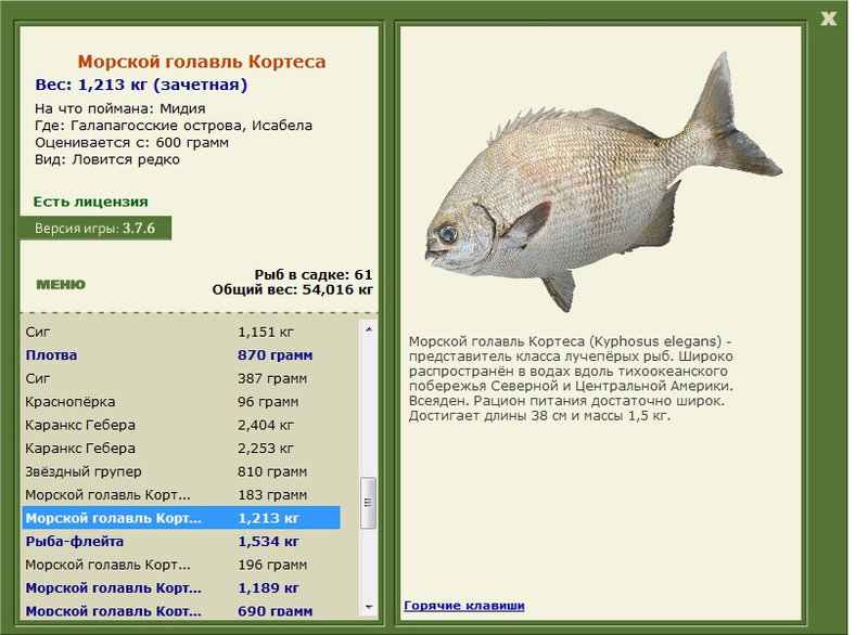 Исабела 