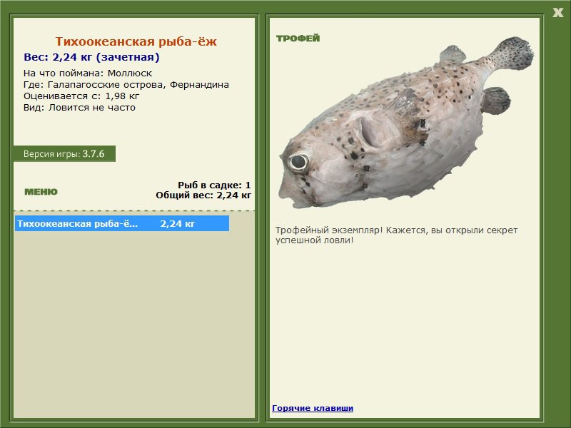 Фернандина 