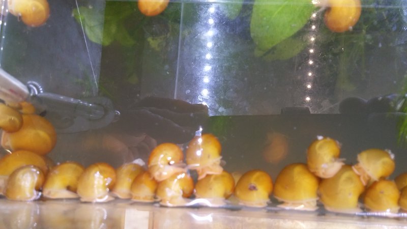  Начать новую тему