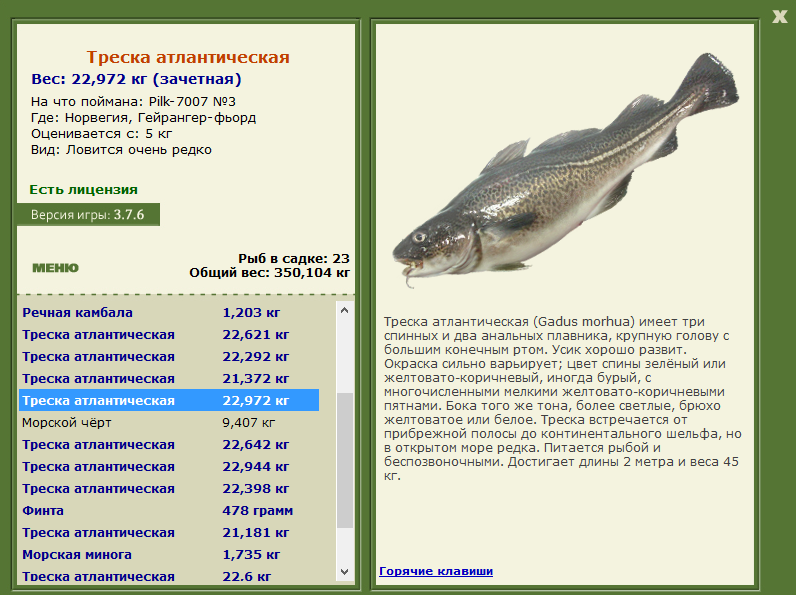 РУССКАЯ РЫБАЛКА Installsoft Edition 