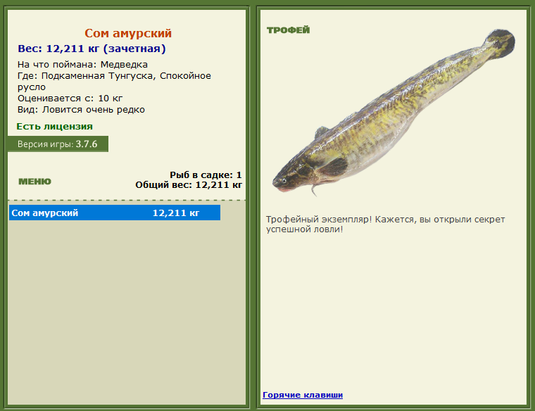 турниры • РУССКАЯ РЫБАЛКА