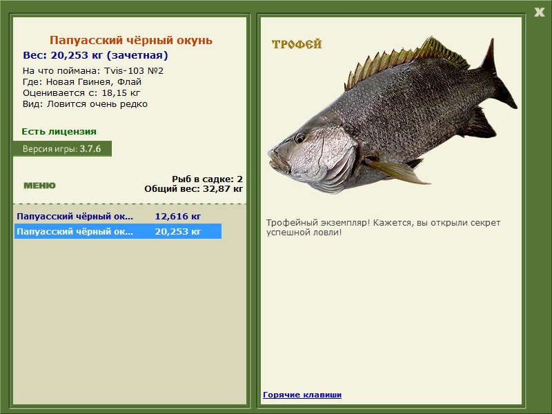 Папуасский чёрный окунь 