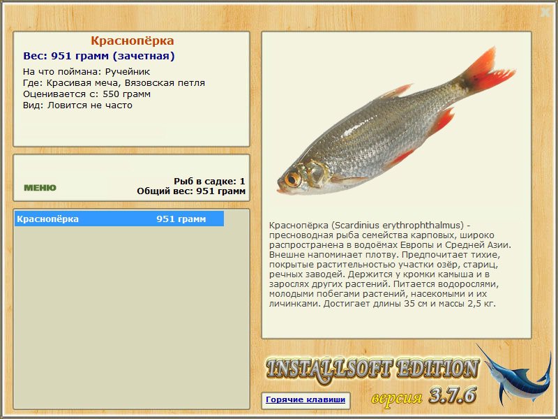 турниры • РУССКАЯ РЫБАЛКА