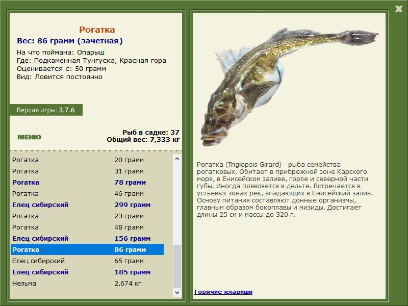 Красная гора 
