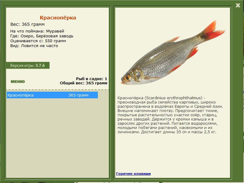 РУССКАЯ РЫБАЛКА Installsoft Edition 
