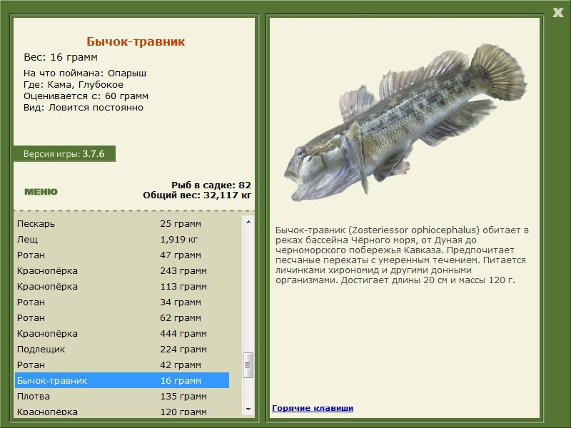 турниры • РУССКАЯ РЫБАЛКА