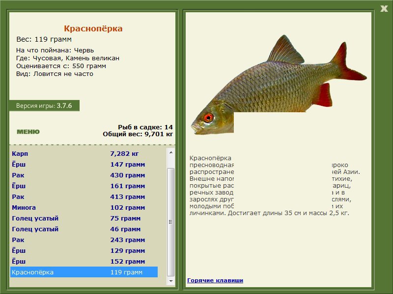 Камень великан 