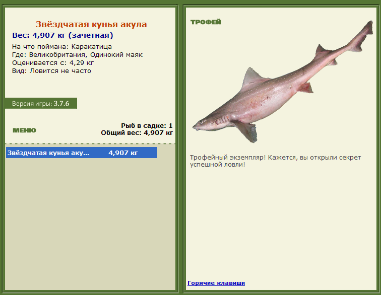 турниры • РУССКАЯ РЫБАЛКА