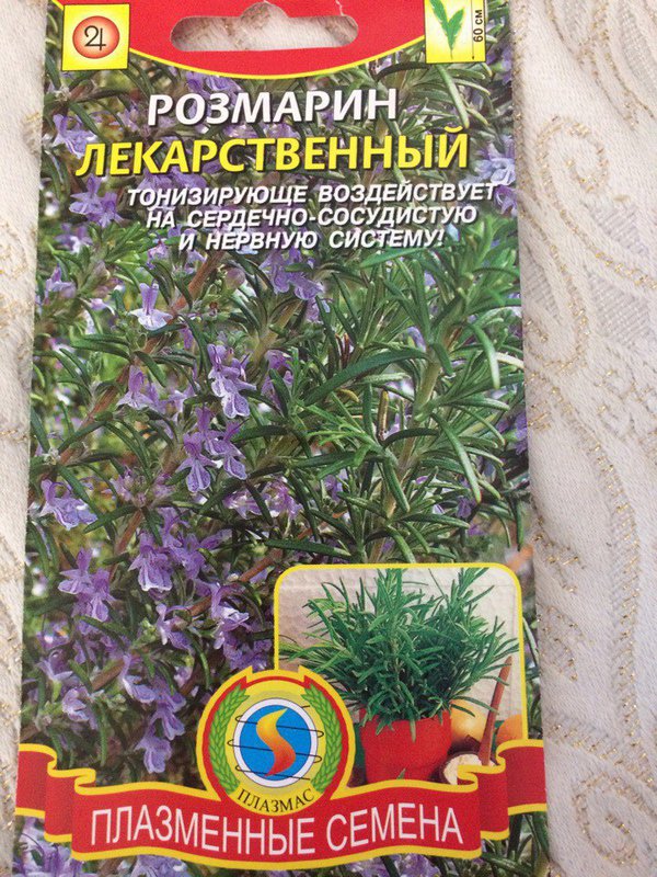 Розмарин Где Купить В Аптеке Розмарин Где Купить В Аптеке