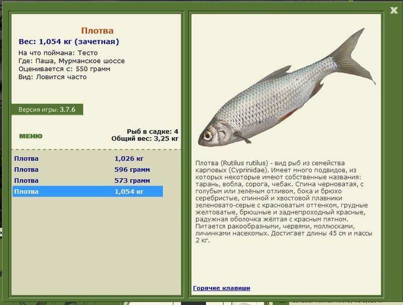 РУССКАЯ РЫБАЛКА Installsoft Edition 
