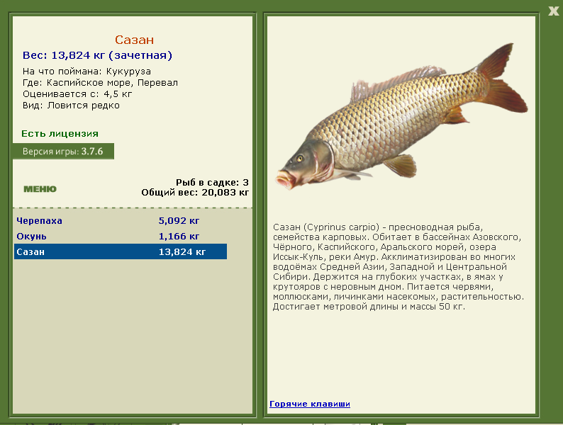 Каспийское море 