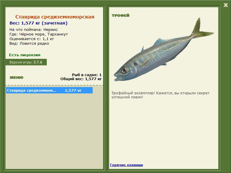 Тарханкут 