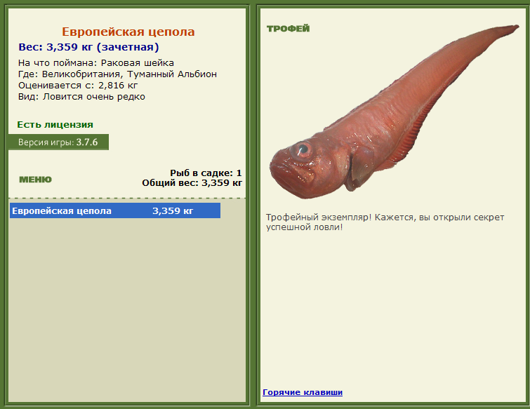 турниры • РУССКАЯ РЫБАЛКА