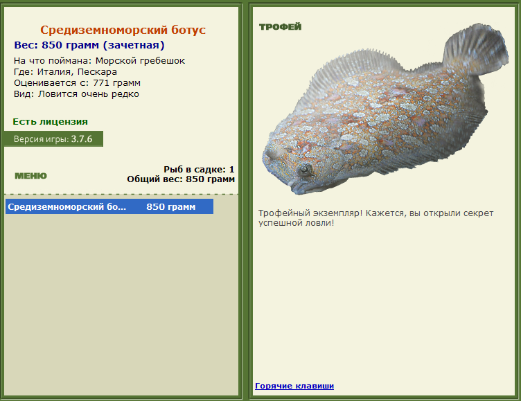 турниры • РУССКАЯ РЫБАЛКА