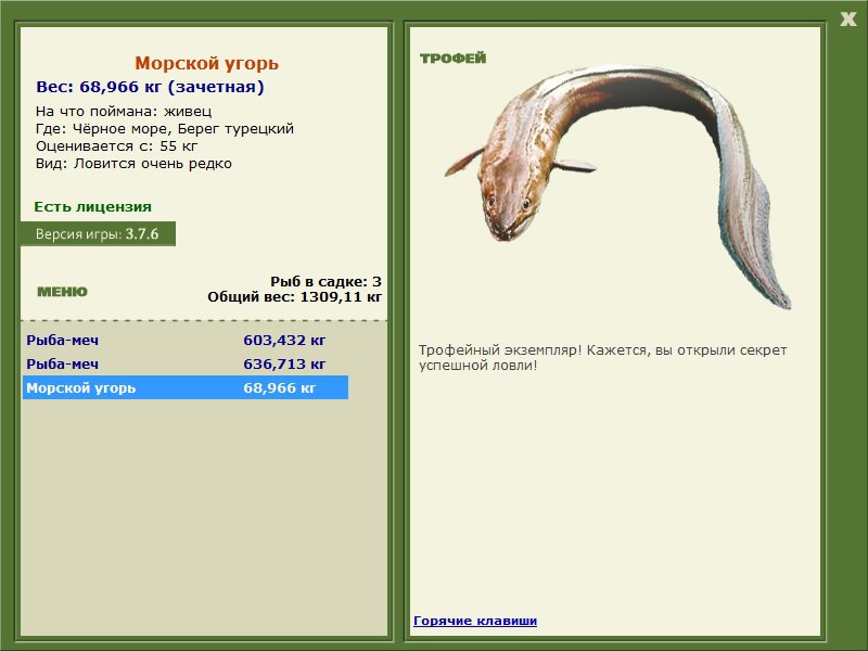 Морской угорь 