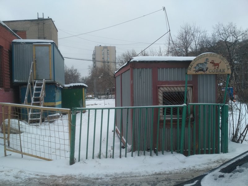 ФОРУМ ЛЮБИТЕЛЕЙ КОЛЛИ И ШЕЛТИ 