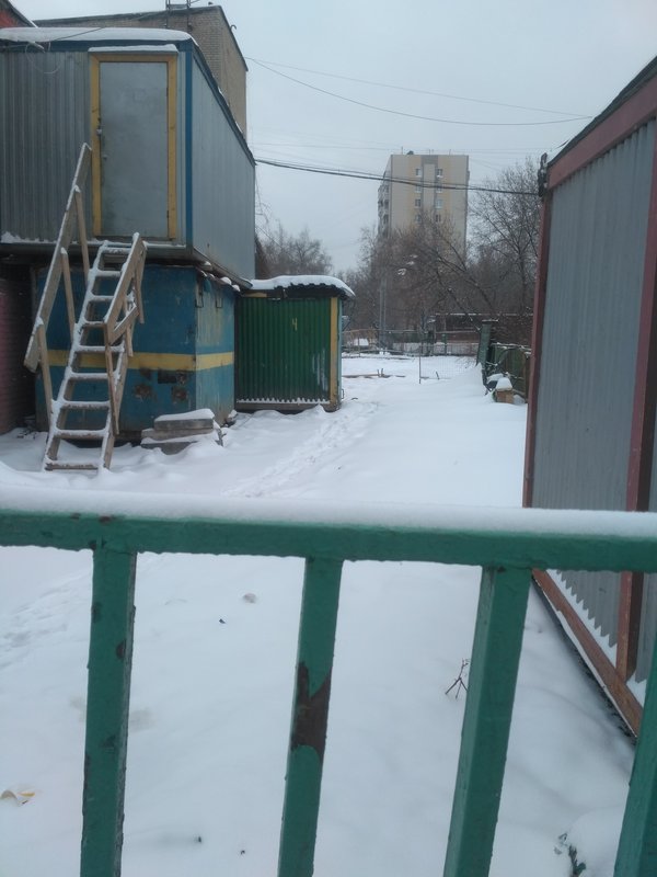 ФОРУМ ЛЮБИТЕЛЕЙ КОЛЛИ И ШЕЛТИ 