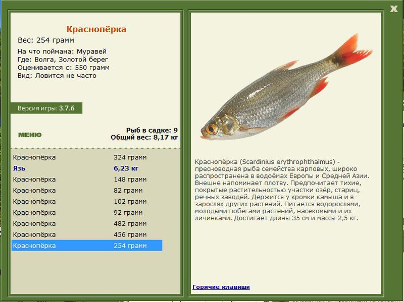 РУССКАЯ РЫБАЛКА Installsoft Edition 