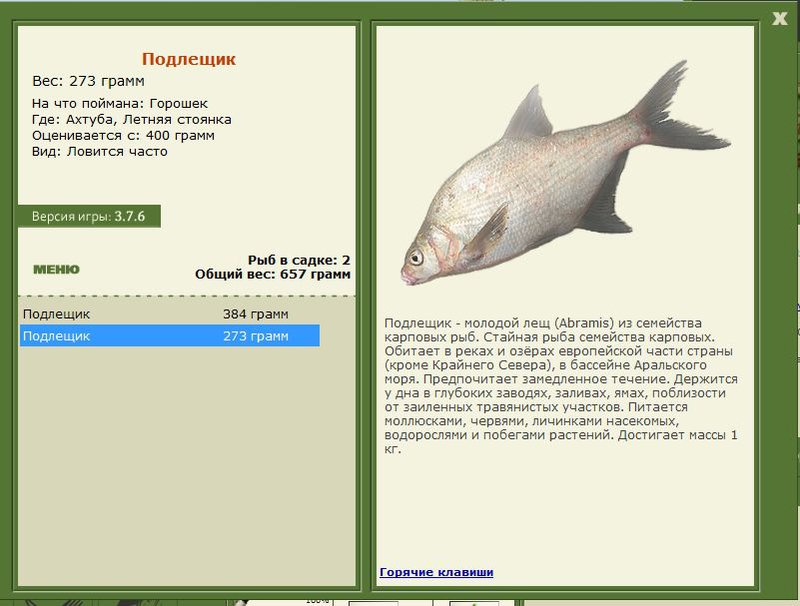 РУССКАЯ РЫБАЛКА Installsoft Edition 