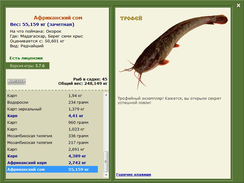 Берег семи крыс 