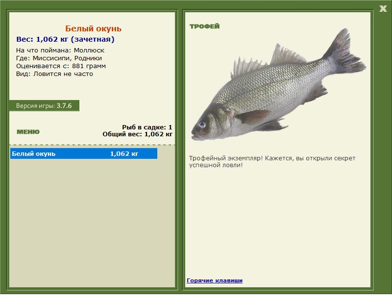 Белый окунь 