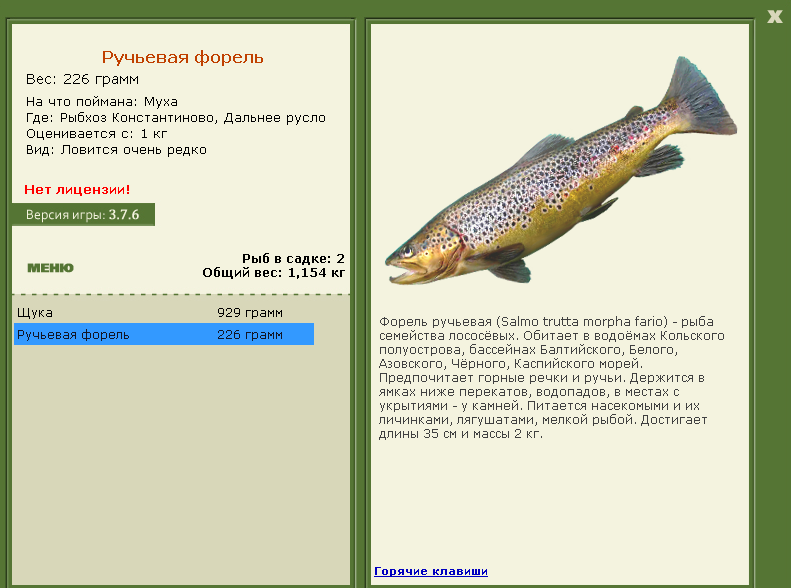 Дальнее русло 