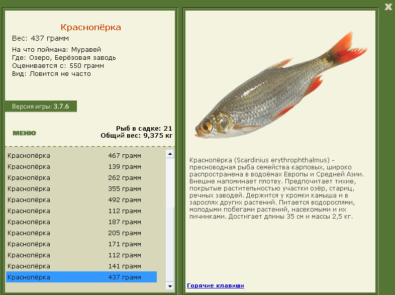 Берёзовая заводь 