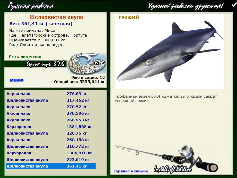 Шелковистая акула 