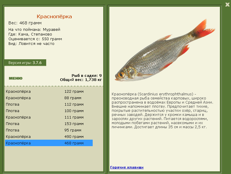 Степаново 