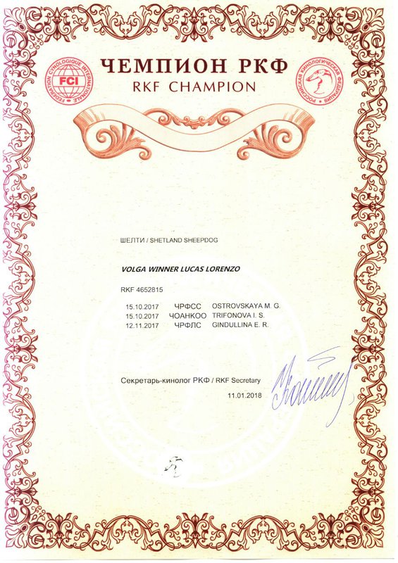 ФОРУМ ЛЮБИТЕЛЕЙ КОЛЛИ И ШЕЛТИ 