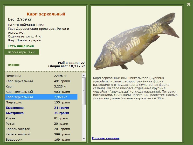 Деревенские просторы 