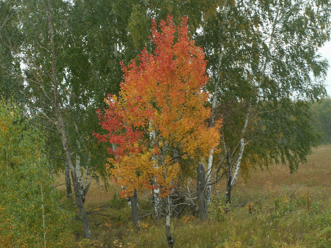 Рыболовный клуб «Берег» 