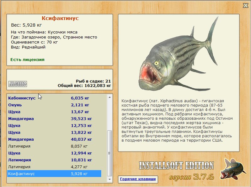 Ксифактинус 