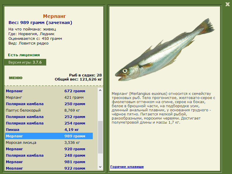 Ледник 