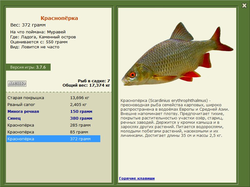 Каменный остров 