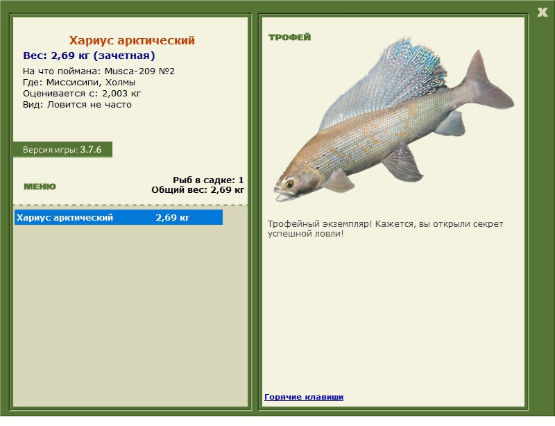 Хариус арктический 