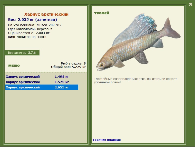 Хариус арктический 