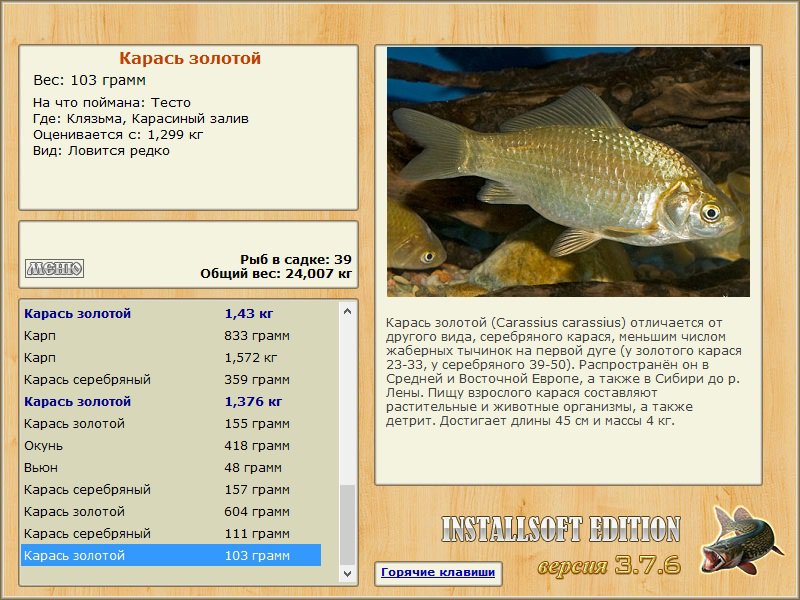 Карасиный залив 