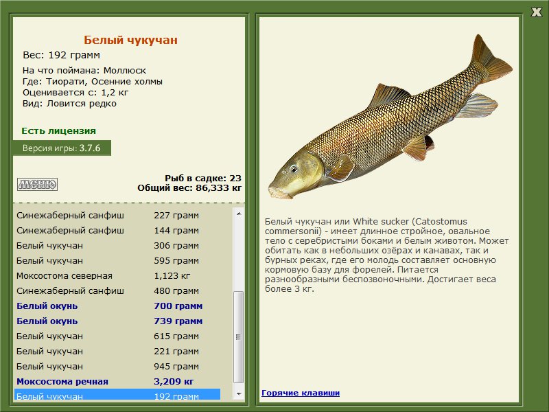 Осенние холмы 