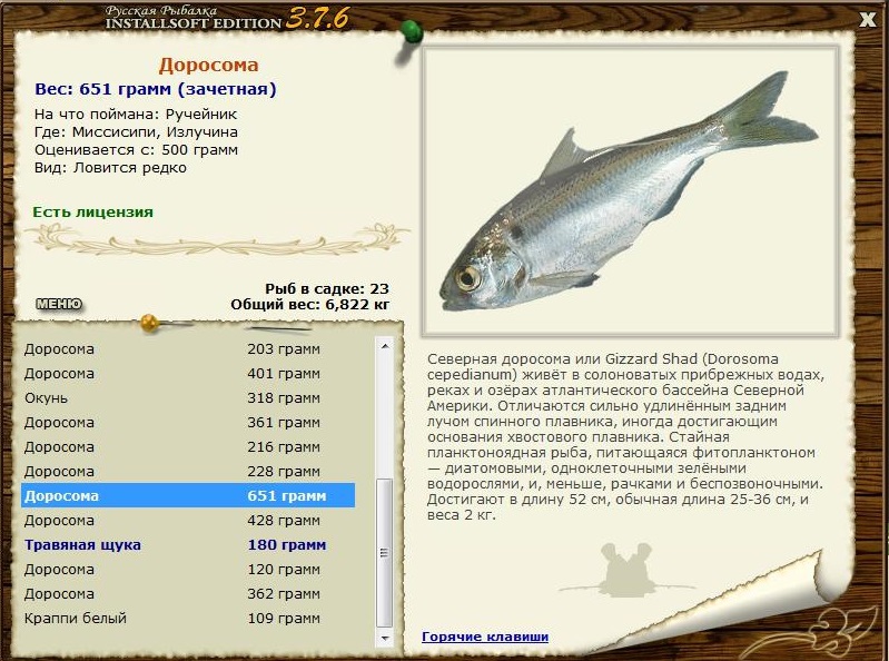 Излучина 