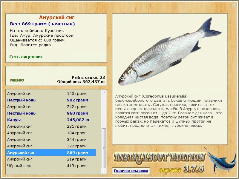 Амурские просторы 