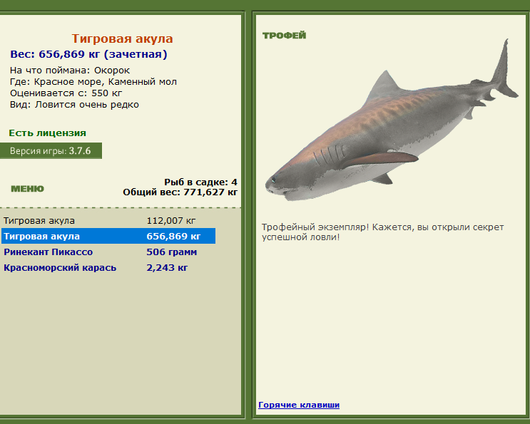 Тигровая акула 