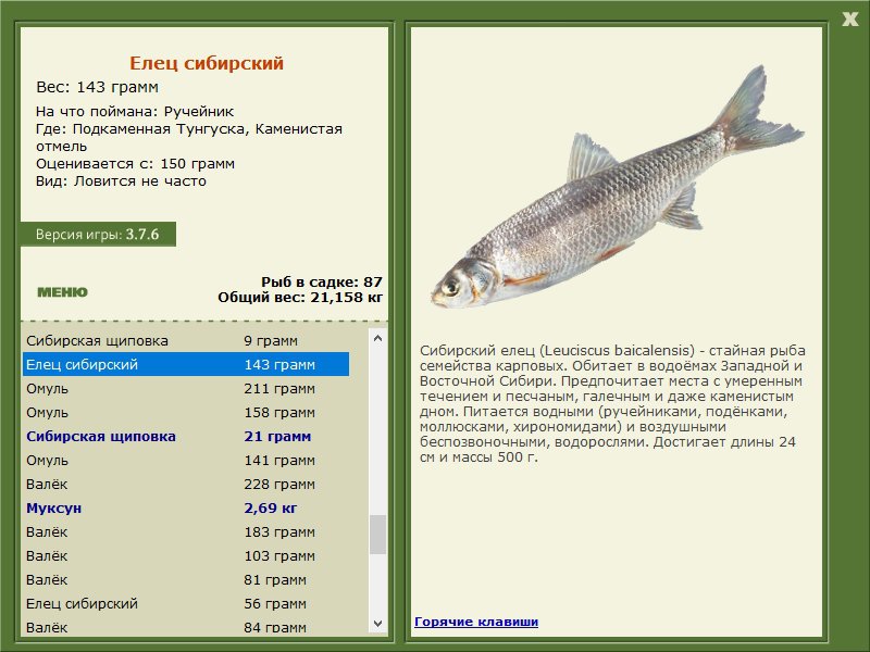 турниры • РУССКАЯ РЫБАЛКА